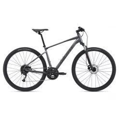 Bicicleta Giant Roam 2 Disc 2021