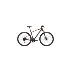 Bicicleta Giant Roam Disc 2