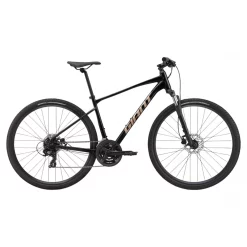Bicicleta Giant Roam Disc 4