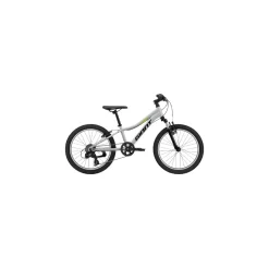 Bicicleta Giant XTC JR 20