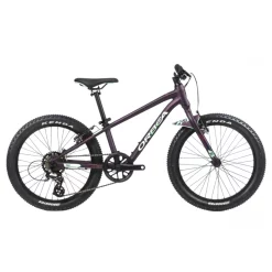 Bicicleta Orbea MX 20 Dirt 23