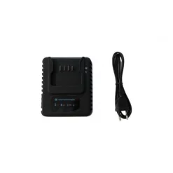 Cargador Bateria Mondraker Gromy